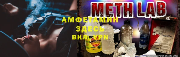 шишки Карпинск